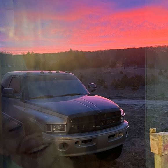 Meet your Posher, Riki - Picture 8 of 16